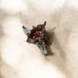 Color Fructus - Pati Ló