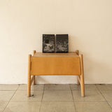 Lagranfacilidad - Luis Rodrigo Medina