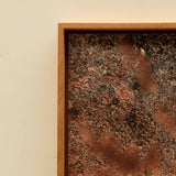 Invasión; Melinis repens 3 (Edición de 3 + AP) - Carlos Mora