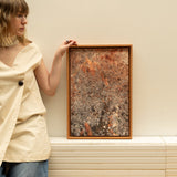 Invasión; Melinis repens 1 (Edición de 3 + AP) - Carlos Mora