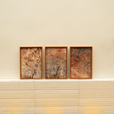 Invasión; Melinis repens 1 (Edición de 3 + AP) - Carlos Mora