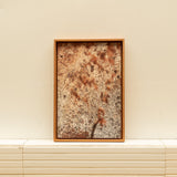 Invasión; Melinis repens 2 (Edición de 3 + AP) - Carlos Mora